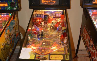 Ripley’s Beleive it or – not