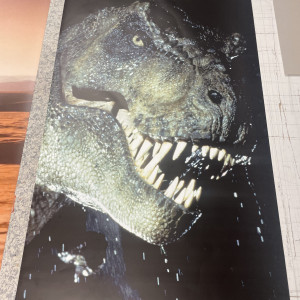 IMG 8358 scaled IMG 8358 scaled