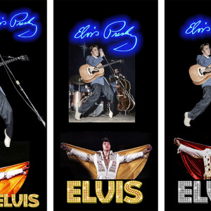 elvis-takarotervek elvis-takarotervek